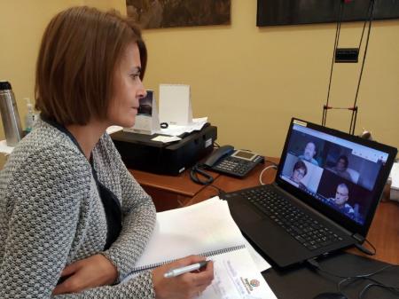 Imagen Prodestur completa las reuniones con representantes turísticos de la provincia para pulsar la salud del sector