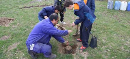 Imagen La Diputación repartirá entre los municipios 400 árboles más que el año pasado